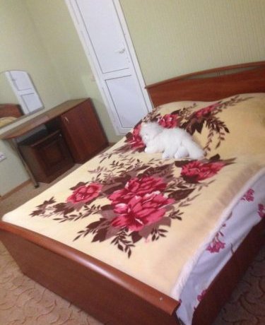 Гостиница Irina Guest House Сочи-37